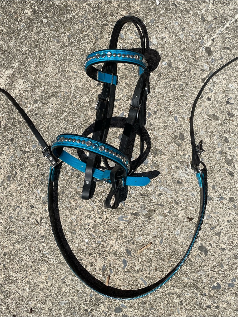 Turquoise and Black Biothane Horse Bridle and Breastcollar